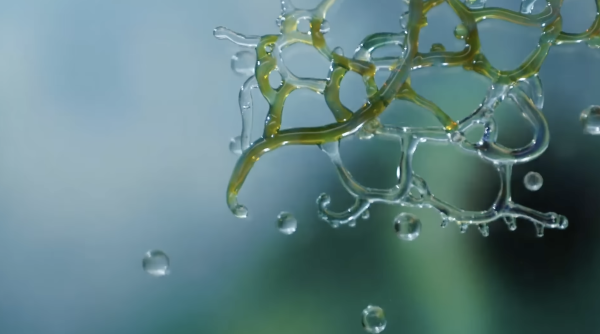 Water's Time Slice